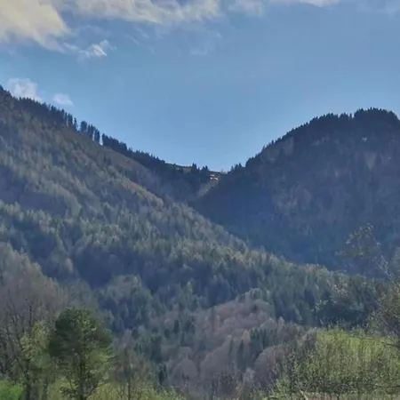 Pleasant In With Swimming Pool Ruhpolding